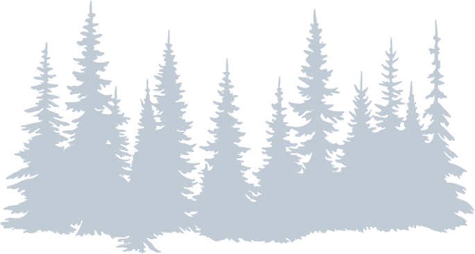 Trees silhouette